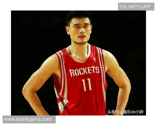 国内体育明星地位排名分析与影响力探讨报告